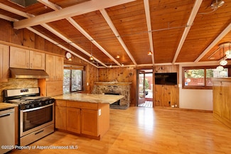 311 Midland Ave, Aspen, CO 81611