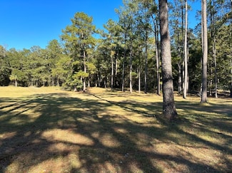 TBD Sage Blvd, Alachua, FL 32615
