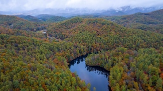 3549P Snowbird Rd, Robbinsville, NC 28771