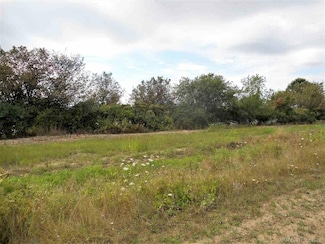 Parcel 3 Windmill Ln, Imlay Township, MI 48444