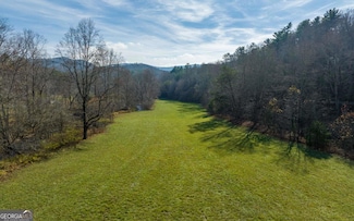 228 Holly Branch Dr, Ellijay, GA 30536