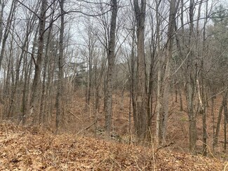 NB6A Goodfield Rd, New Braintree, MA 01531