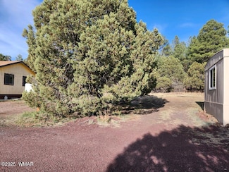 2205 Parkinson Rd, Lakeside, AZ 85929