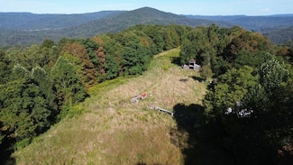 223 Delargy Ln, Hinton, WV 25951