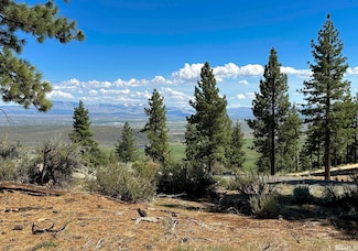 220 Overlook Dr, Carson City, NV 89705