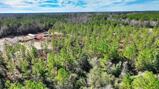 0 Leora Williams Ln, Mount Hermon, LA 70450