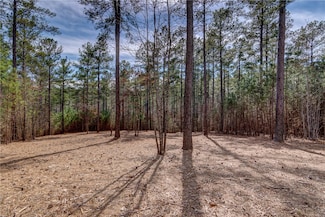 Lot 21 Grays Peak Dr, Salem, SC 29676