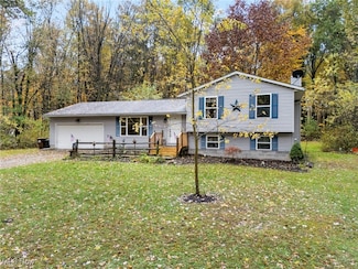 9812 Carters Ford Rd, Deerfield, OH 44411