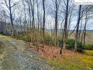 103 Bear Paw Path, Beech Mountain, NC 28604