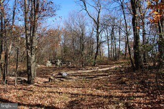 0 Bear Trail Unit VAFV2023242, Winchester, VA 22602