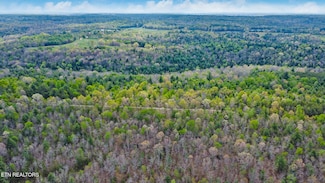 70.69 Acres Old Collins Rd, Deer Lodge, TN 37726