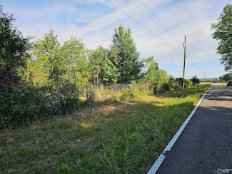20 Acres #1 Lee Rd E, Falkville, AL 35640