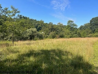 Lot 1 Trail View Ln, Masontown, WV 26542