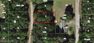 806 Breezewood Ave, Inverness, FL 34453