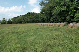 1 N Lick Creek Rd, Franklin, TN 37064