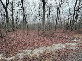 230 Kingsdown Dr, Crossville, TN 38558