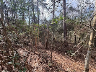 Lot 217 S Mallard Dr, Coldspring, TX 77331