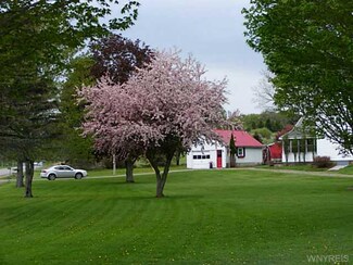 2171 Healy Rd, Franklinville, NY 14737