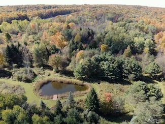 10070 Warner Gulf Rd, Holland, NY 14080