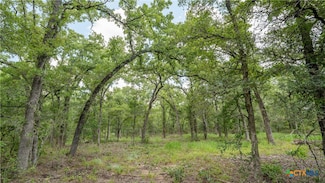 418-C County Road 405, Buckholts, TX 76518