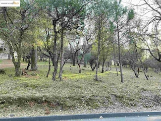 13177 Jackson Mill Dr, Groveland, CA 95321