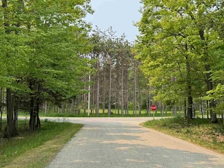 5945 Lodgepole Rd, Harbor Springs, MI 49740