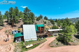 351 Badger Cir, Guffey, CO 80820