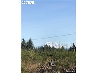311 Coma Rd, Vader, WA 98593
