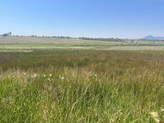 TBD Highway 491, Lewis, CO 81327