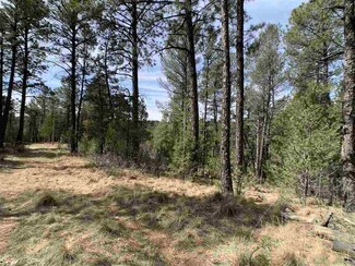 7 Hoover Dr Unit 40+, Timberon, NM 88350