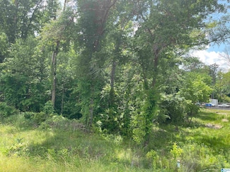 0 Robinson Rd Unit Vacant 21385212, Alexander City, AL 35010