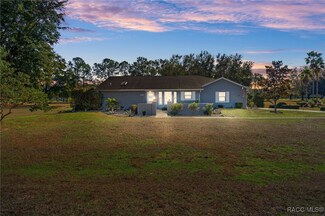 100 E Cumberland Ct, Hernando, FL 34442