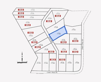 Lot 9 County Rd 351, Snyder, TX 79330