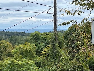 0 Leeds Athens Rd Unit ONEH6333604, Athens, NY 12015