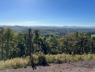 NA Piney Rd, Mineral Bluff, GA 30559