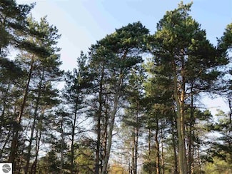 10.5 Spruce Hollow Trace, Fife Lake Township, MI 49633