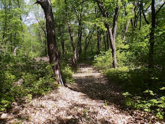 0000 Minnesota 29, Carlos Township, MN 56308