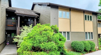 1050 Ski View Dr Unit 105, Gatlinburg, TN 37738
