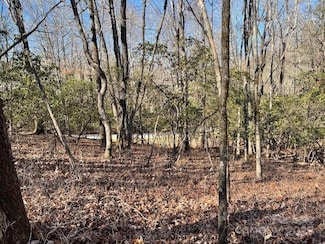 U6/L45 Ottaray Ct, Brevard, NC 28712