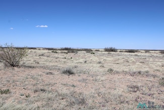 0 Sunshine Valley Ranchettes Unit 20231668, Deming, NM 88030