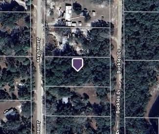 106 James Ave, Interlachen, FL 32148
