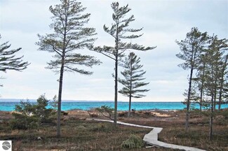 35 South Beach Unit 35, Glen Arbor, MI 49636