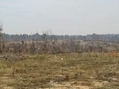 0 Kansas Rd, Gurdon, AR 71743