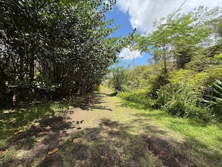 16-1432 Po'Ouli Rd, Kurtistown, HI 96760