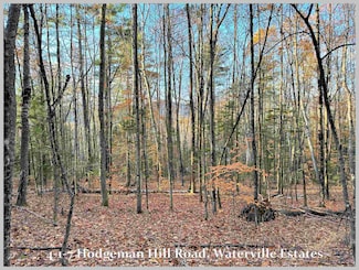 4-1-7 Hodgeman Hill Rd, Campton, NH 02332