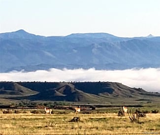 0 County Road 19 Rd Unit REC8946889, Florence, CO 81226