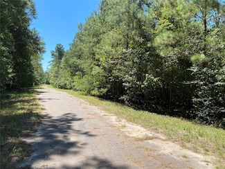 00 Birch Ln, Cleveland, TX 77328