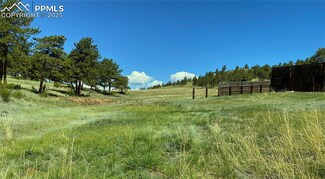 0 Highway 9 Unit 7377792, Hartsel, CO 80449