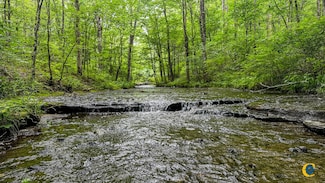 0 Catheys Creek Rd Unit 24056697, Hampshire, TN 38461