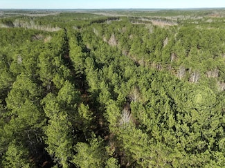 0 Old Millport Rd, Millport, AL 35576